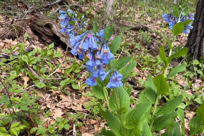 Discover Aurora Illinois Hiking Getaway - FAQ