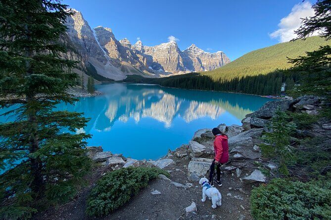 Discover Banff National Park with Dog Friendly Exclusive Tour - How the Tour Works and What to Expect