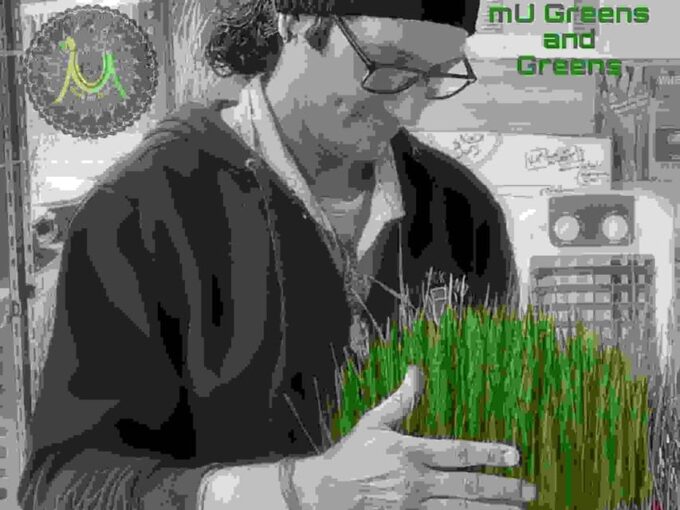 Discover Bangalores Secret Urban Farming Oasis - The Sum Up