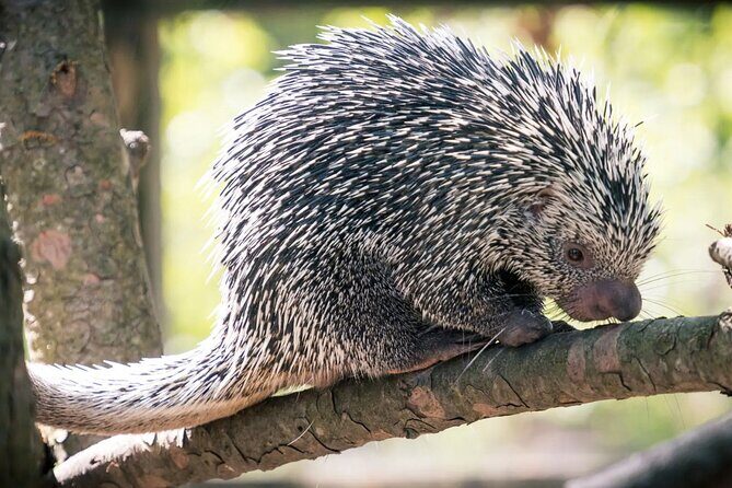 Discover Barra de Potosí - El Refugio de Potosí: Wildlife Encounters and Education