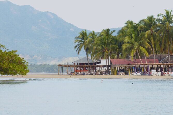 Discover Barra de Potosí - Transport and Logistics