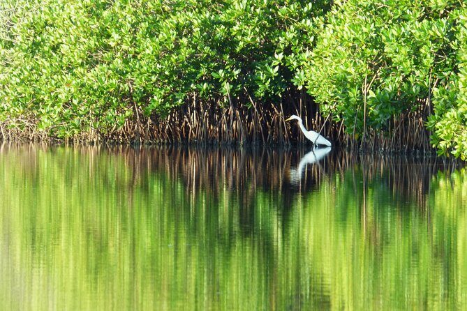 Discover Barra de Potosí - Who Will Love This Tour?