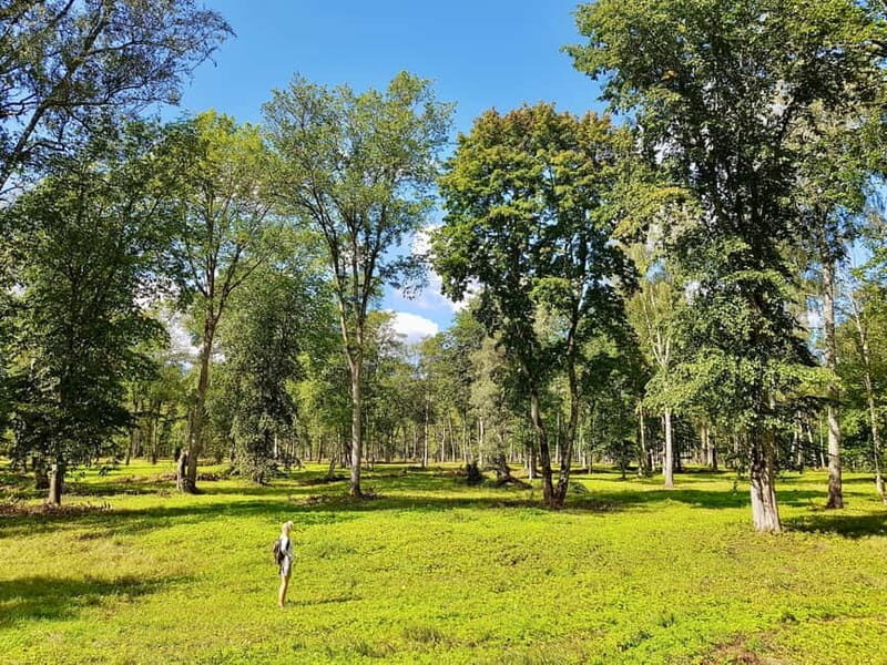 Discover Best of Sigulda and Gauja National Park In One Day - A Practical Look at the Tour Experience