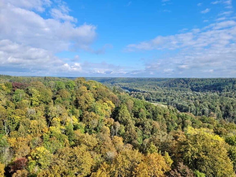 Discover Best of Sigulda and Gauja National Park In One Day - Who Will Love This Tour?