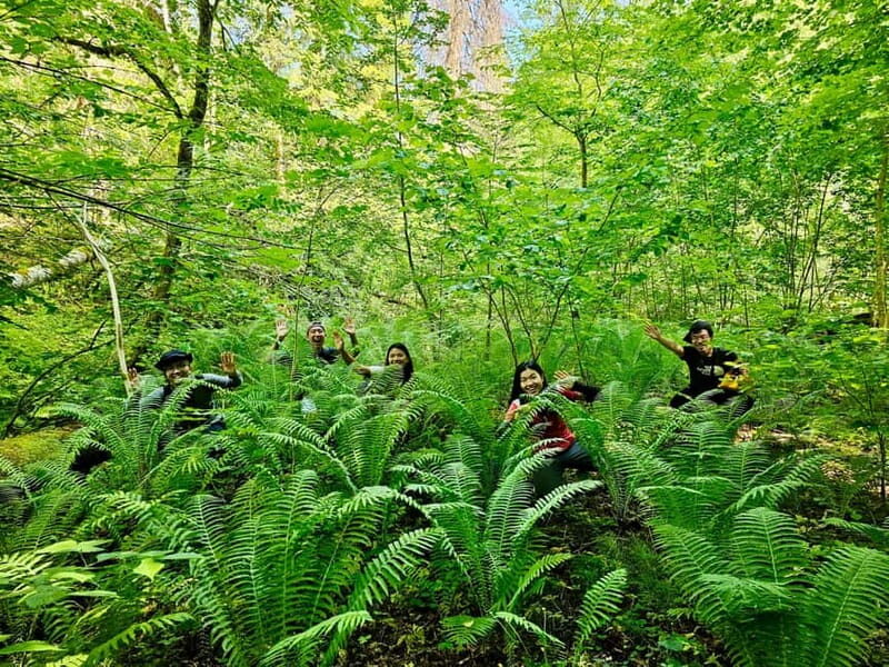 Discover Best of Sigulda and Gauja National Park In One Day - FAQ