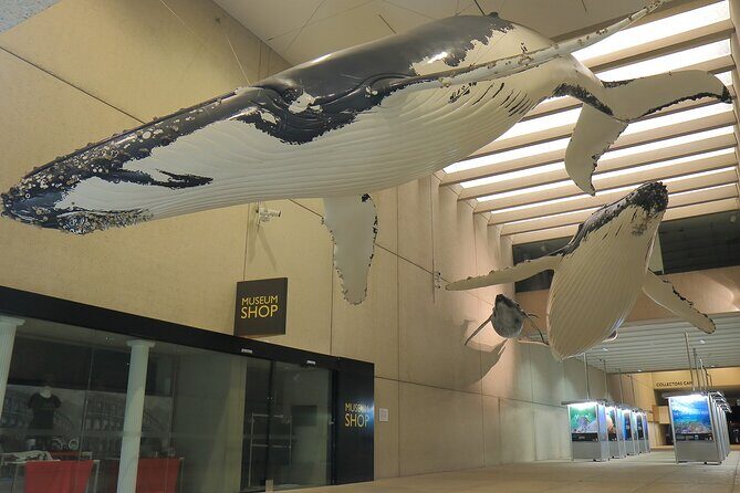 Discover Brisbane - Cultural - Discover Brisbane’s Cultural Trail in Detail