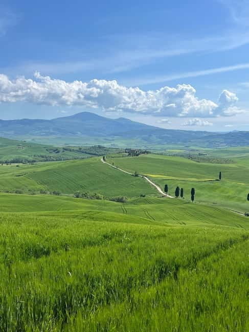 Discover Brunello Wines - Exploring Tuscany Through Taste and Tradition