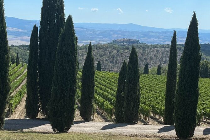 Discover Brunello Wines with DiWine Experience - Discover Brunello Wines with DiWine Experience: A Deep Dive into Tuscany’s Wine Heaven