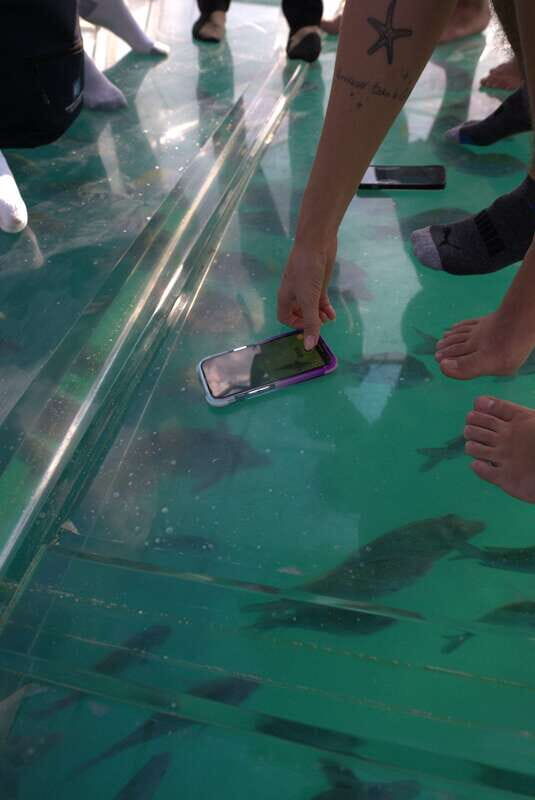 Discover Cabo San Lucas Clear Boat Glass Factory & Tequila - An Introduction to the Tour Experience