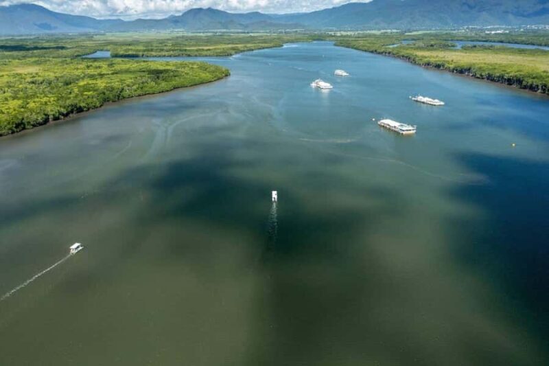 Discover Cairns: Cairns River Cruise & City Sights Tour - Key Points