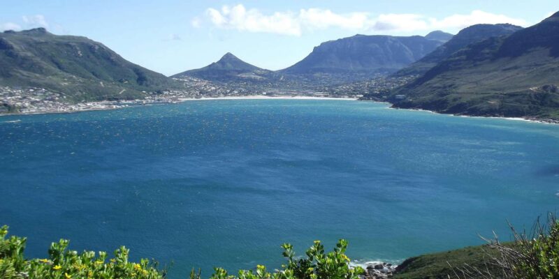 Discover Cape Town: A Luxurious 6-Day Tour Package - Nature Exploration and Wildlife Encounters