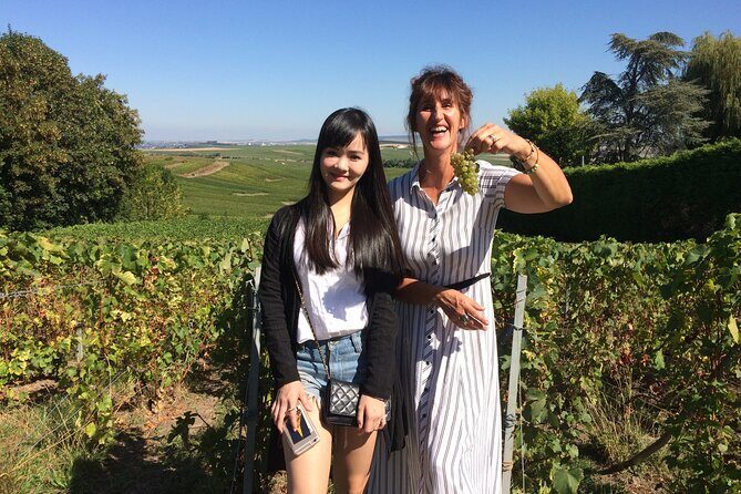 Discover Champagne in half a day in a Van - Key Points