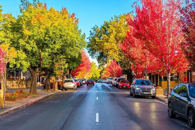 Discover Charms of Hahndorf & Hills (Full Day Tour) - Itinerary Breakdown: What to Expect at Each Stop