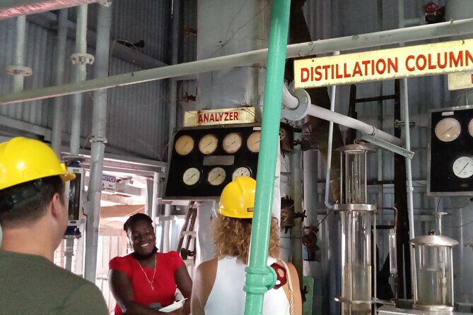 Discover Clarkes Court Rum Distillery  Transportation Only - A Practical Look at the Tour