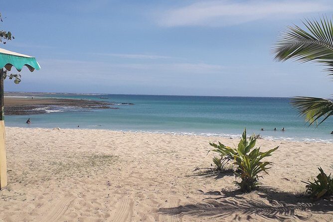 Discover Coral Coast & Natadola Beach Tour - An In-Depth Look at the Tour Itinerary