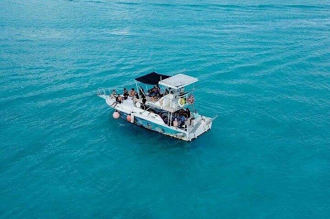 Discover Cozumel's Reef: Glass-bottom Boat Snorkeling Adventure - Authentic Experiences and Traveler Feedback