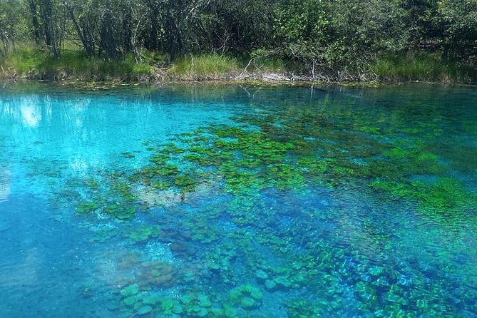 Discover Crater Azul & Its Crystal-Clear Waters On A Full-Day Tour From Flores - Overview of Crater Azul Tour
