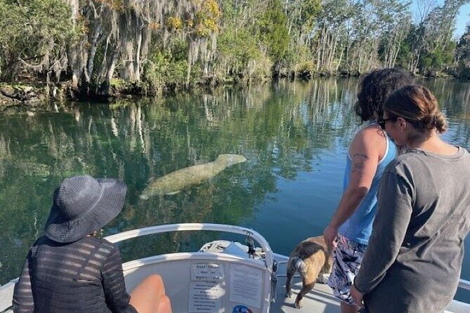 Discover Crystal River's Secrets with Private Boat Tour - Key Points