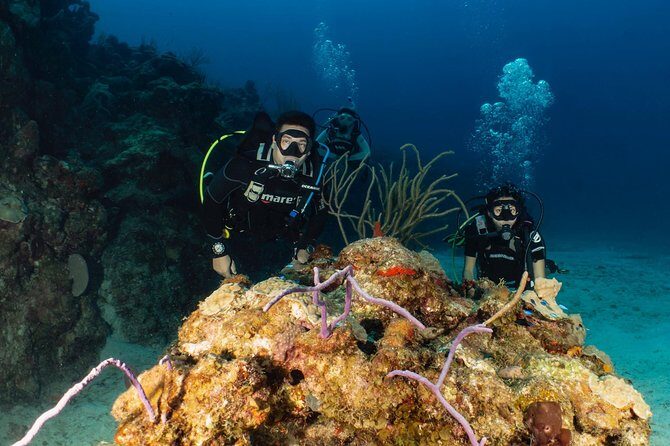 Discover Culebra: 2-Tank Scuba Diving - Key Points