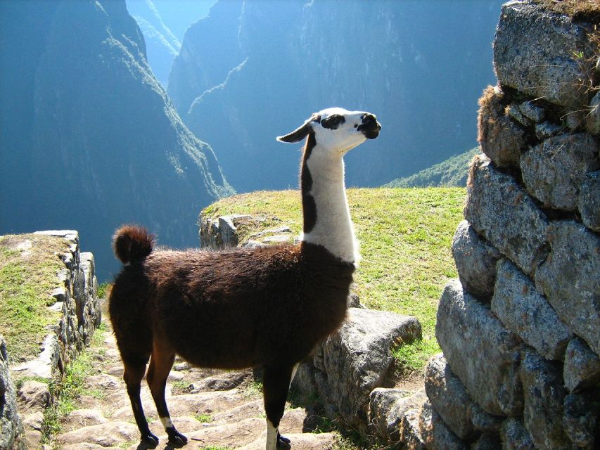Discover Cusco, Sacred Valley and Machu Picchu in 4 Days - Pisac Archaeological Site