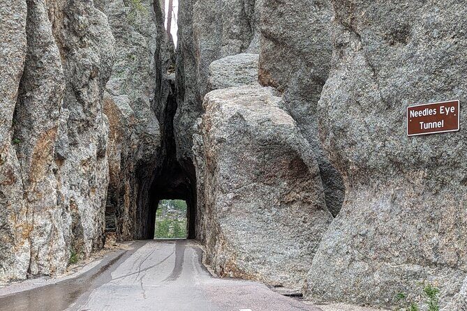 Discover Custer State Park A Self Guided Audio Driving Tour - Who Should Consider This Tour?