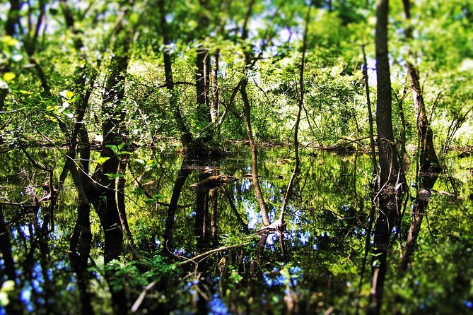 Discover Danube Delta From Bucharest - Private Tour for 5 Days - Booking and Cancellation Policy
