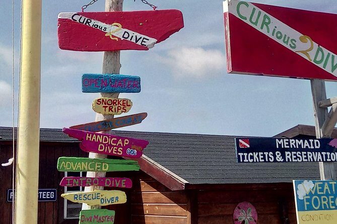 Discover Diving in Curacao - The Guide and Instruction: Why It Matters