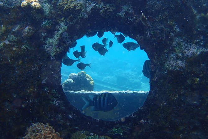Discover Diving in Curacao - Included Dive Equipment