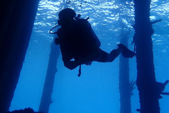 Discover Diving in Curacao - Multilingual Guide Availability