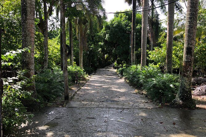 Discover Dominican life - A Closer Look at the Itinerary: What Makes It Special