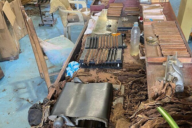 Discover Dominican life - Frequently Asked Questions (FAQs)