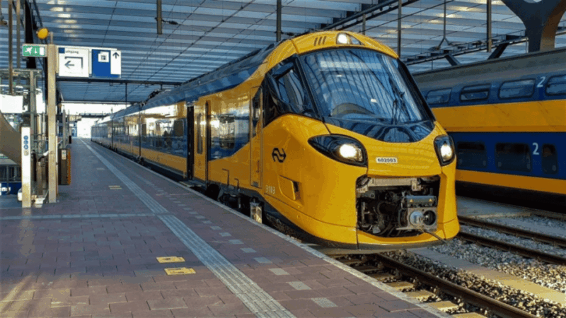 Discover Efteling With Train+Bus Ticket To/From Rotterdam - Transportation Experience