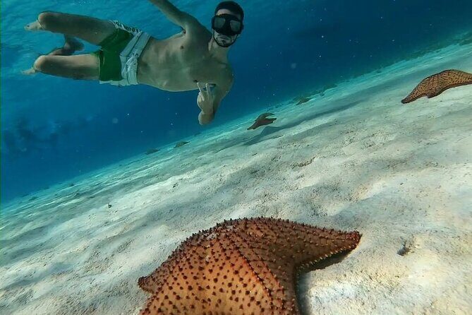 Discover El Cielo and Cozumel Snorkeling Adventure - Discover El Cielo and Cozumel Snorkeling Adventure: An Honest Look