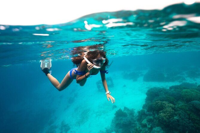Discover El Cielo and Cozumel Snorkeling Adventure - FAQ: Your Questions Answered