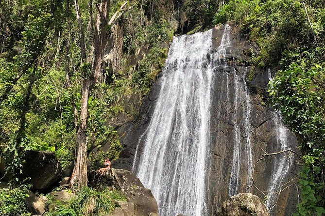Discover El Yunque National Park: Half-Day Rainforest Tour - Key Points