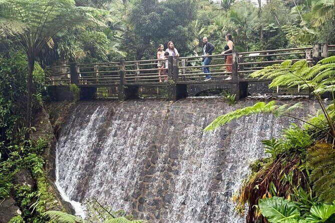 Discover El Yunque National Park: Half-Day Rainforest Tour - Who Will Love This Tour?