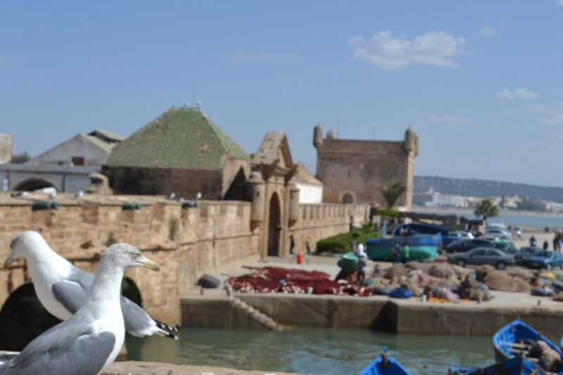 Discover Essaouira: a Day Tour From Marrakech - Good To Know