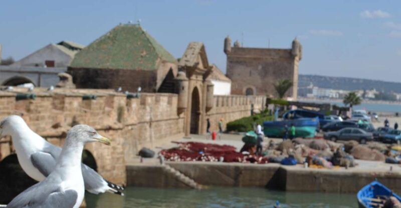 Discover Essaouira: a Day Tour From Marrakech - Exploring the Medina
