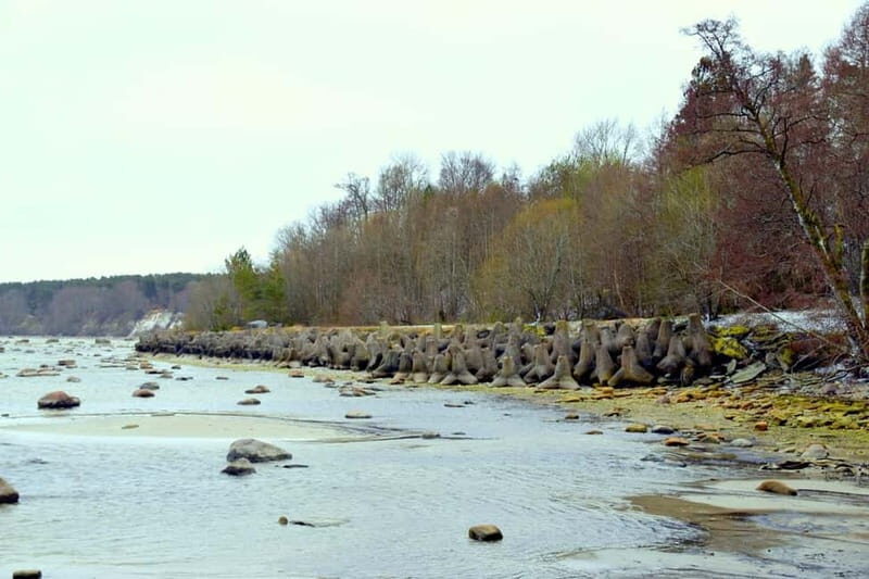 Discover Estonia-car tour from Tallinn to Keila-Joa Waterfal - An In-Depth Look at the Tour Experience