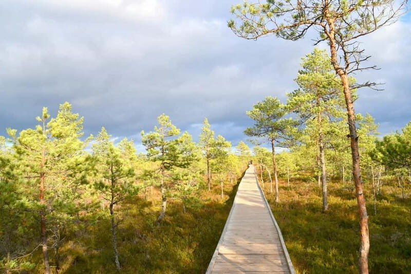 Discover Estoniatour to Lahemaa with waterfalls and nature. - An Enchanting Dive into Estonia’s Wilderness