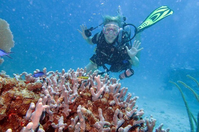 Discover Fajardo: 2-Tank Scuba Diving - Authentic Experiences from Other Travelers