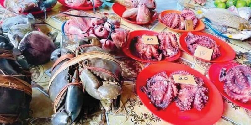 Discover Fijian Culture and Reptiles - A Detailed Look at the Tour Experience