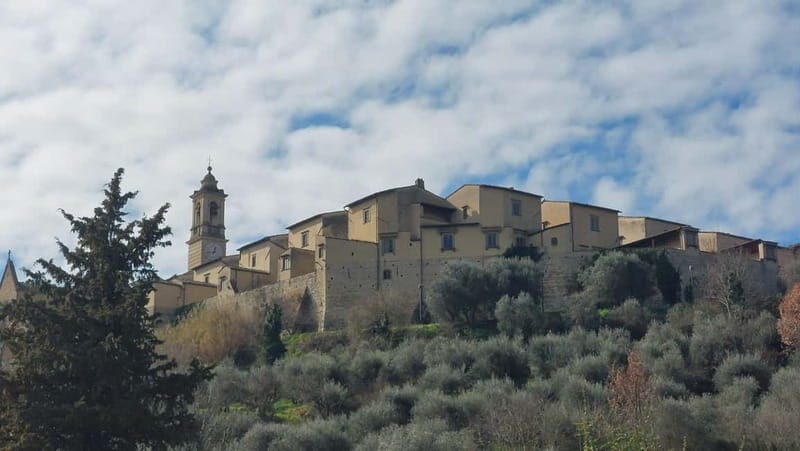 Discover Florence with Wine Tasting like a local - Pricing and Overall Value