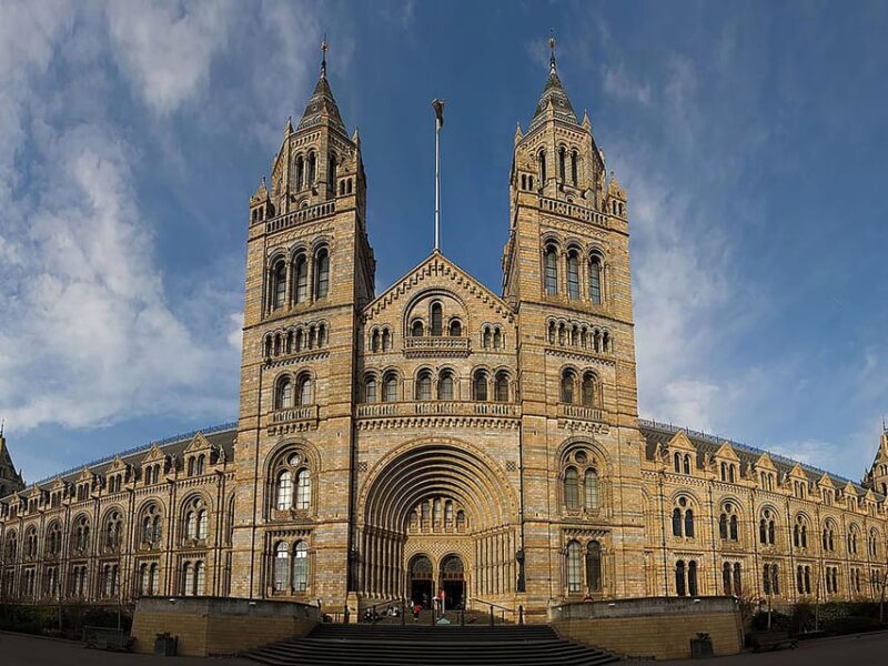 Discover Fossils & Gems at Natural History Museum - Meeting and Reservation Details
