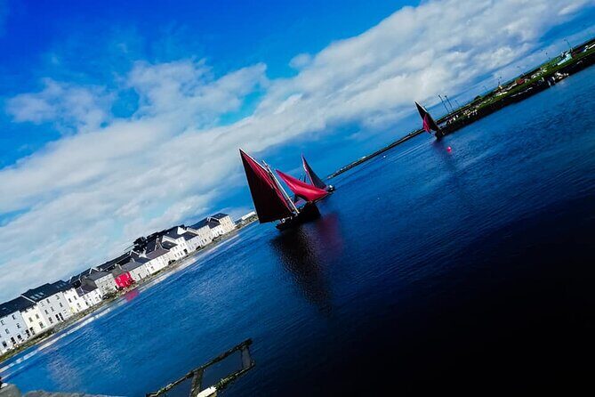 Discover Galway City Walking Tour - What Visitors Say
