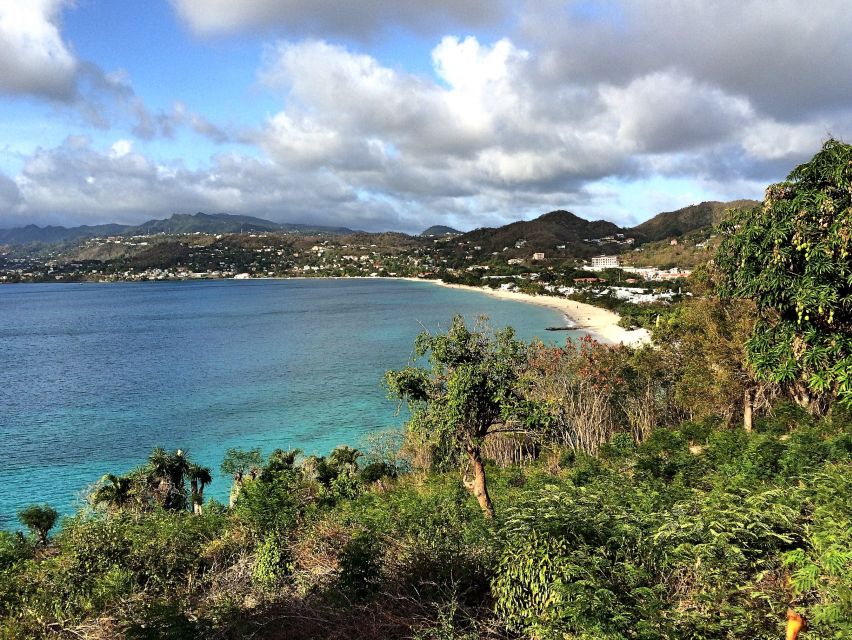 Discover Grenada With Lunch at a Local Restaurant - Rum Tasting at River Antoine