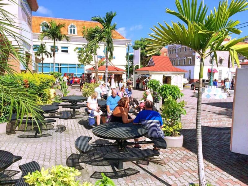 Discover Grenada: Your Sightseeing Taxi Tour Awaits - The Experience of a Private Taxi Tour