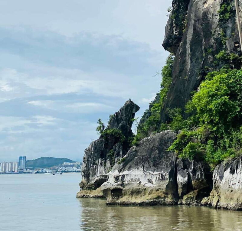Discover Halong Bay 4-hour Scenic Cruise, Kayak, Lunch, Cave - Kayaking and Bamboo Boat Options