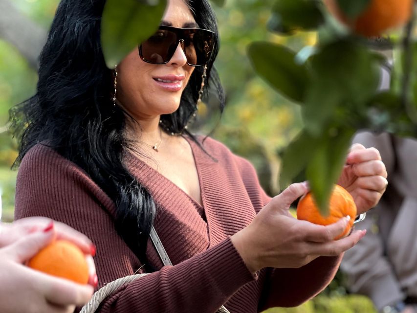 Discover, Harvest & Taste Sorrento Lemons - Key Points