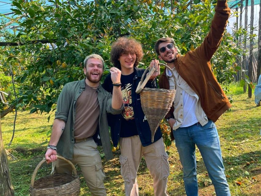 Discover, Harvest & Taste Sorrento Lemons - Unique Tasting Opportunities